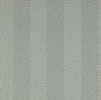 传统风格墙纸 - WILDER STRIPE - Colefax & Fowler - 条纹
