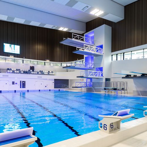 带跳板比赛游泳池 - Myrtha Pools - 户外 / 室内 / 体育活动用