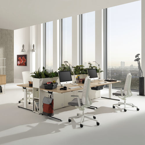 站坐式办公桌 - WINEA STARTUP 2.0 - WINI Büromöbel Georg Schmidt GmbH & Co. KG - 落地 / 现代风格 / 木质