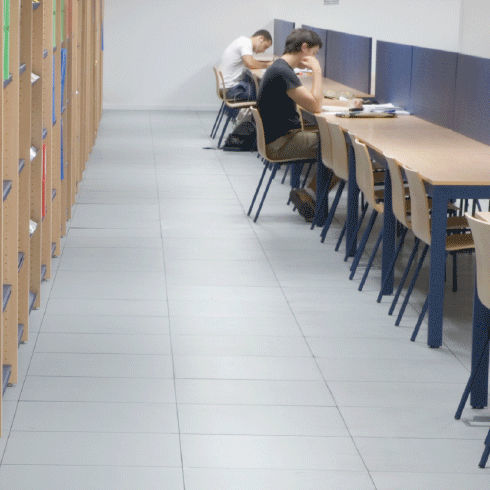 粘合板活动地板 - BANK - ACCESS FLOOR POLYGROUP - 电镀钢 / 陶瓷 / 花岗岩