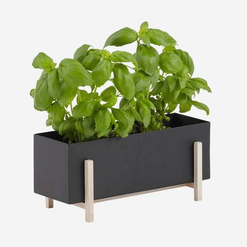 金属花盆 - BOTANIC - DESIGN HOUSE STOCKHOLM - 白蜡木 / 独立式 / 长方形