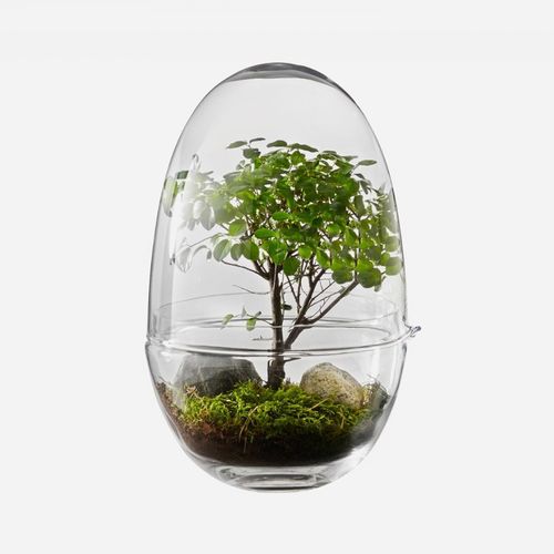 现代风格花瓶 - GROW - DESIGN HOUSE STOCKHOLM - 玻璃 / 手工