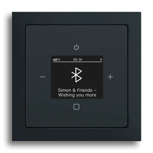音频控制器 - BTCONNECT DAB+ - BUSCH-JAEGER