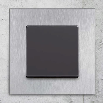 摇摆开关 - carat® - ABB Home and Building Automation - 暗装 / 热塑性塑料 / 不锈钢