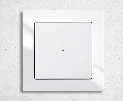 智能家居设备开关 - Busch-axcent® - ABB Home and Building Automation - 按钮式开关 / 明装 / 双