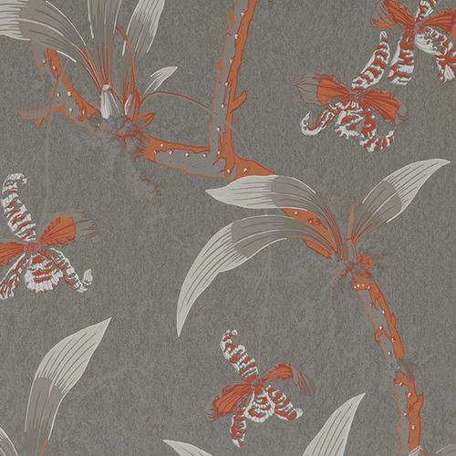 现代风格墙纸 - TEMPLE OF DAWN : MANDARIN ORCHIDS - JIM THOMPSON - 印花 / 仿布 / 灰色