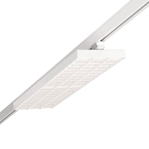 LED式轨道灯 - ZATTA - Regiolux GmbH - 矩形 / 金属 / 商用