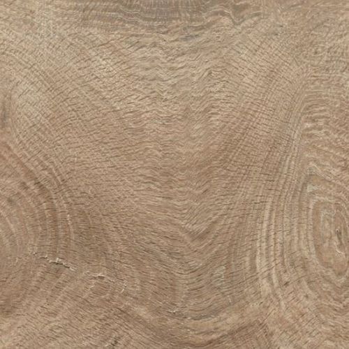 栎木强化地板 - TRANSIT: QUERCIA GRIGIA - GAZZOTTI spa - 浮动 / 仿木 / 家用