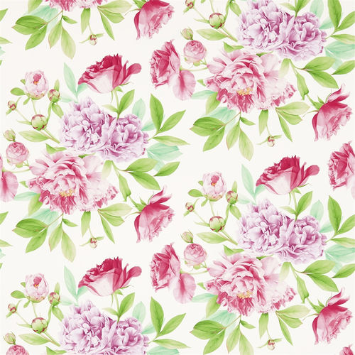 现代风格墙纸 - PHOEBE - Zoffany - 印花 / 仿布 / 彩色