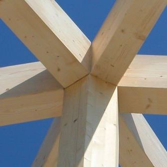 CAD软件 - TIMBER FRAMING - DIETRICH'S AG - 计算 / CAM / 用于木结构