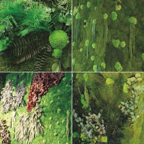 室内绿植墙 - MOSS WITH LEAVES - ADRIANI E ROSSI EDIZIONI