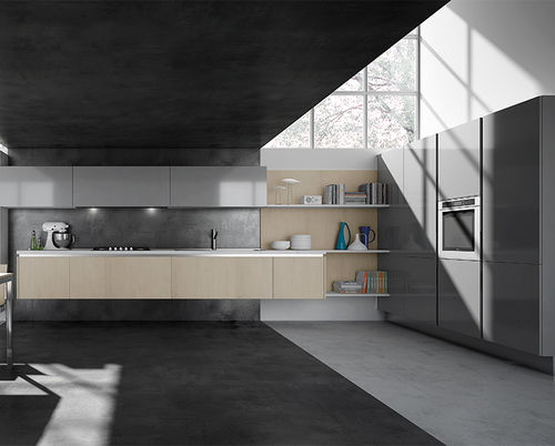 现代风格厨房 - ERIKA  - ARAN Cucine - Fenix NTM 材质 / 无把手 / 烤漆