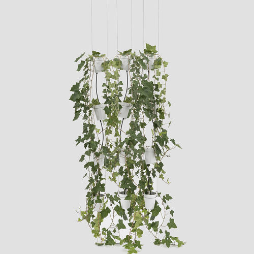 悬吊花盆架 - WINDOW GARDEN PENDANT - Danese