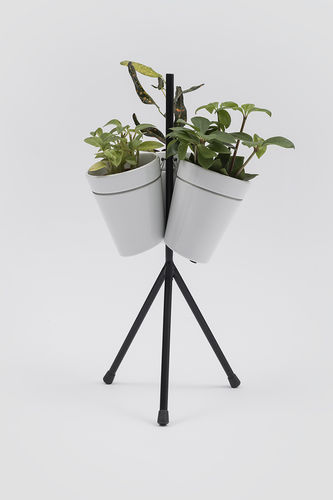 金属植物支架 - WINDOW GARDEN - Danese - 锥形 / 用于城市 / 组合式