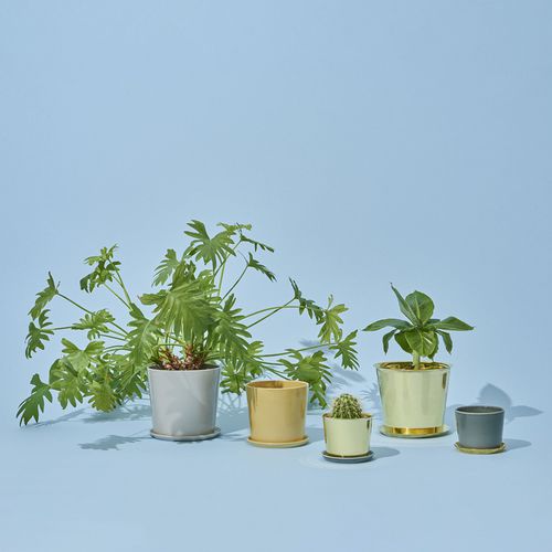 陶瓷花盆 - BOTANICAL FAMILY - Hay a/s - 黄铜 / 独立式 / 圆形