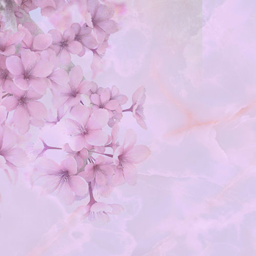 现代风格墙纸 - BLOOM - Tonin Casa - 印花 / 粉色 / 客厅