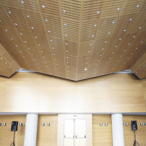 木质吊顶slottedr16