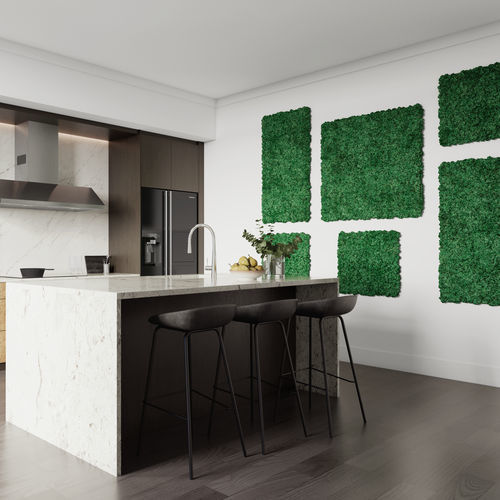 绿植墙永生苔藓 - Ideatec Advanced Acoustic Solutions - 用于生活框架 / 用于吊顶天花板 / 方形