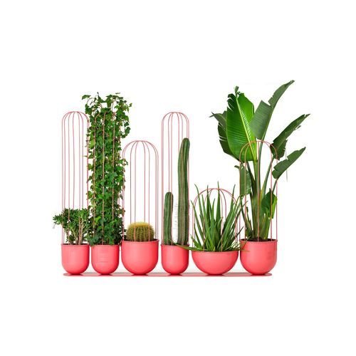 铝制花坛 - Cacti - NOLA INDUSTRIER - 粉末涂层钢 / 现代风格 / 公共空间