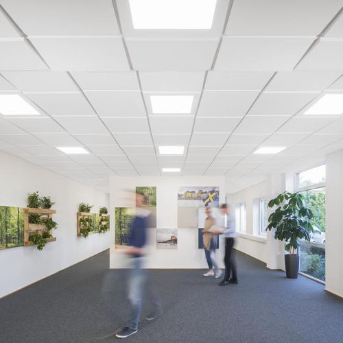 玻璃棉吊顶 - FOCUS™ EZ - Saint-Gobain Ecophon - 方砖 / 办公室 / 室内