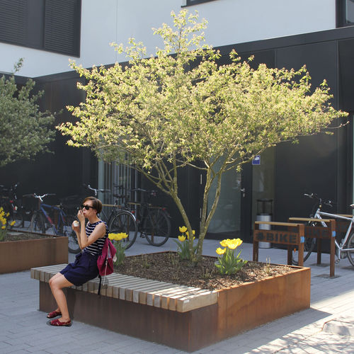 现代风格公共长椅 - MANNHEIM - Euroform K. Winkler GmbH - 木质 / 带花坛 / FSC环保标签