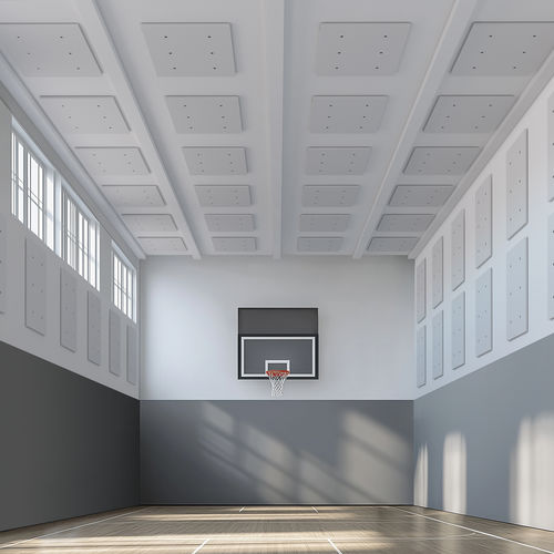 天花板吸音板 - INDUSTRIAL GYM - Caimi Brevetti SpA - 聚酯 / 矩形 / 室内装潢
