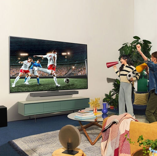 智能电视 - EVO C4 - LG Electronics - UHD / OLED / 48"