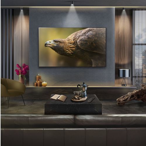 智能电视 - EVO G4 - LG Electronics - UHD / OLED / 其他显示尺寸