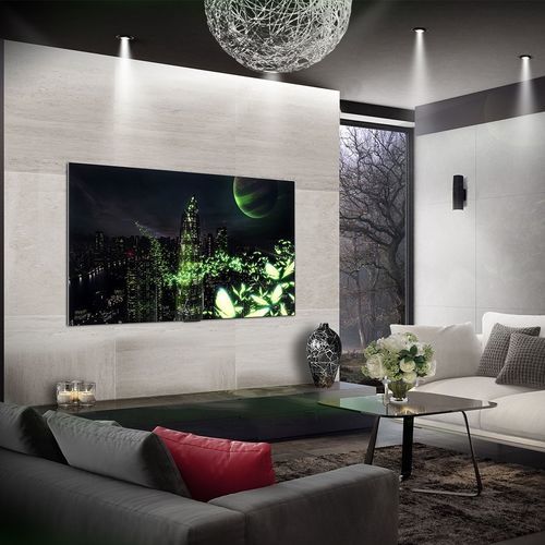 智能电视 - EVO G2 - LG Electronics - UHD / OLED / 55"