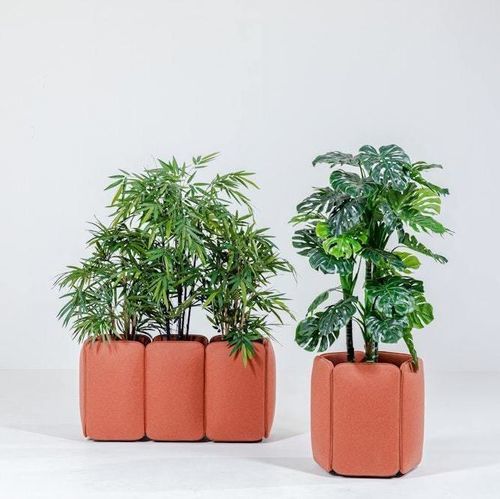 木质园艺花盆 - BuzziChicle  - BuzziSpace - 聚酯 / 布料 / 独立式