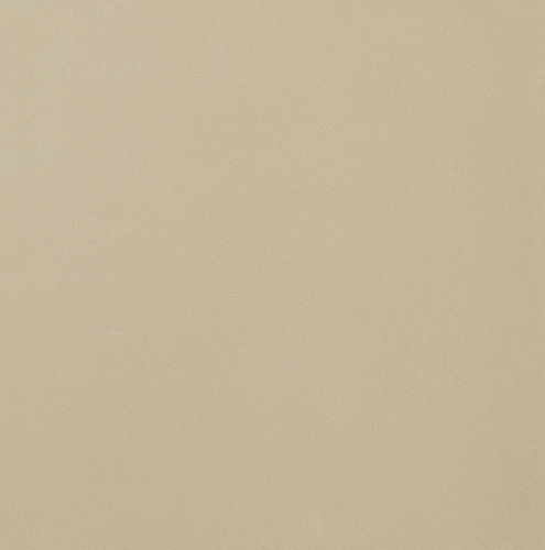 陶土瓷砖 - STANDARD : UNI BLANC CRÈME - Novoceram sas - 哑光 / 室内 / 地面用