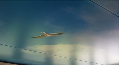 帆布软膜天花 - IMAGE PRINTING - VINYL - Stretch Ceilings - 印花 / 装饰