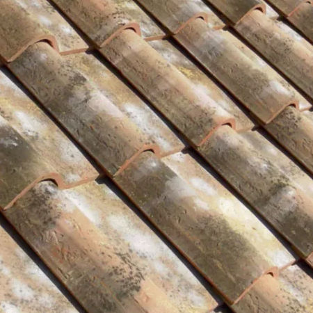 筒瓦瓦 - VERNACCIA / RISERVA - SOLAVA - 黏土 / 大型