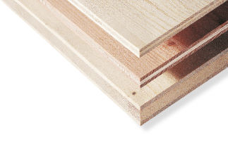 胶合层压木结构板 - K1 MULTIPLAN - Mayr-Melnhof Holz - 用于屋顶 / 承重墙 / 墙壁