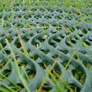 三维土工网格 - GRASSPROTECTA - TERRAM