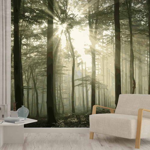现代风格墙纸 - FURESTA FT1507 - LGD01 décor mural sur mesure - 自然图案 / 全景式 / 仿布