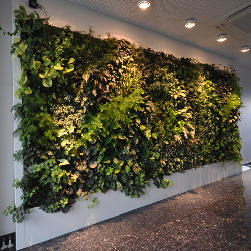 室内绿植墙 - LIVEPANEL - PFLANZENWAND / VERTICAL GARDEN / JARDIN VERTICAL - Freund GmbH - 生物气候