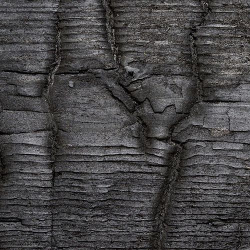 壁挂装饰面板 - MAGMA - verbranntes Holz / conserved wood / bois brûlé - Freund GmbH - 木制 / 烤漆 / 涂油