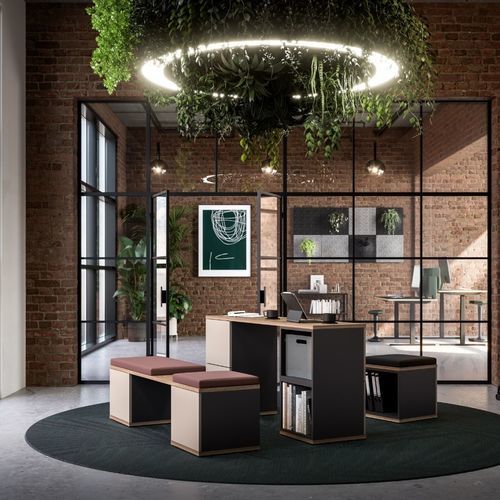 自承重收纳系统 - CUBAS | FLEX - ASSMANN BÜROMÖBEL GMBH & CO. KG - 现代风格 / 木质 / 专业