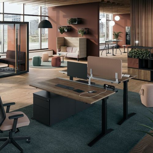 落地办公桌 - CANVARO - ASSMANN BÜROMÖBEL GMBH & CO. KG - 2人 / 现代风格 / 木质
