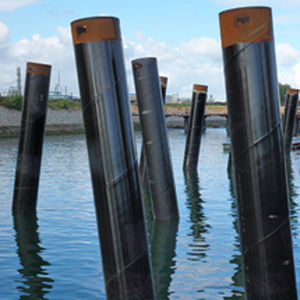 被动桩 - Ballast Nedam - 金属