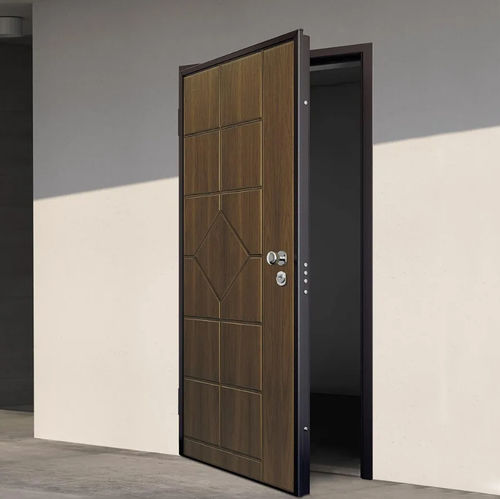 入户门 - Paros - Bertolotto Porte - 钢 / 平开 / 现代风格