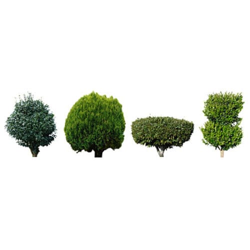 2D/3D图形库软件 - SHRUBS & TREES - DOSCH DESIGN