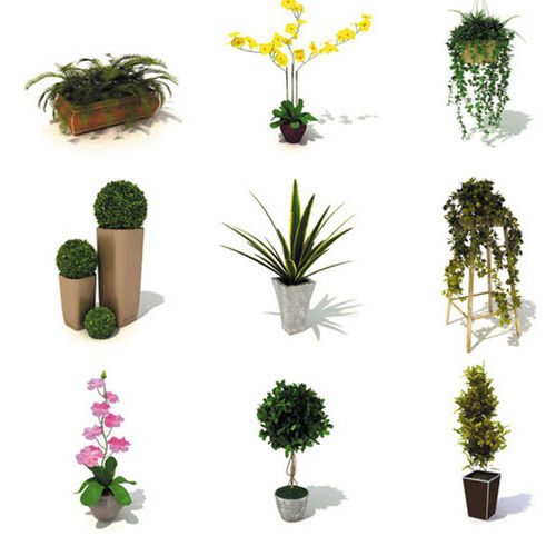 2D/3D图形库软件 - INDOOR PLANTS - DOSCH DESIGN