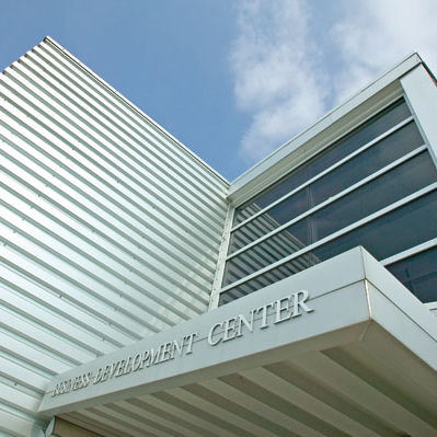 立面板 - BR5-36 - Centria Architectural Systems - 电镀钢 / 褶皱