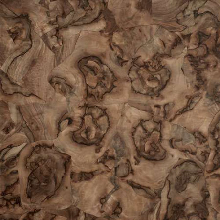 层压地板 - BURL WITH PALLADIAN COMPOSITION - Quadrolegno - 胡桃木 / 山形纹 / 涂油