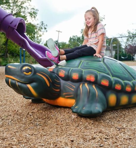 塑料雕塑 - TURTLE  - Soft Play LLC - 定制 / 落地式 / 游乐场