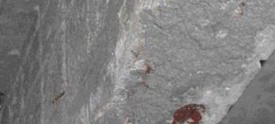 修补砂浆 - WEBER.REP STRUCTURE : MOTEX VM 212 - Weber Industries - 用于混凝土
