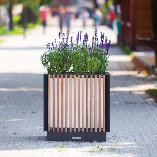 松木花坛 - KVĚTA - mmcité street furniture - 硬木 / 钢 / 正方形