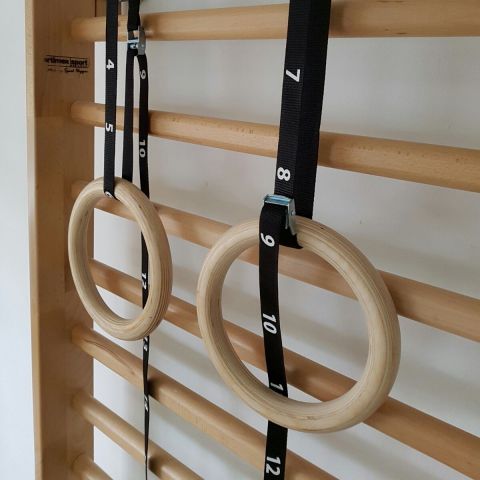 体操训练吊环 - 1163-STRAP - Artimex Sport